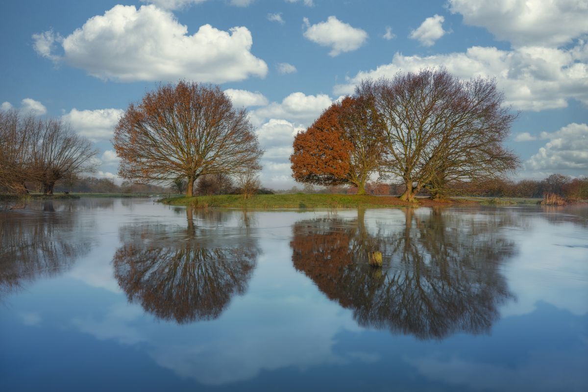 Luminar AI
