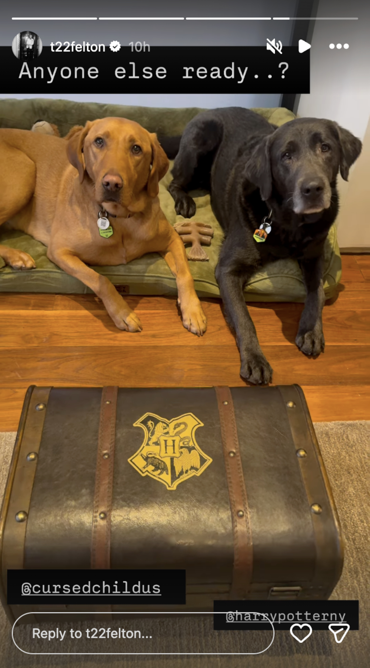 Tom Felton&#039;s Instagram story