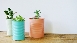 Homemade tin can planters
