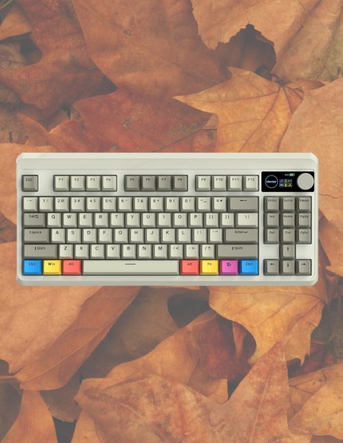 Womier gaming keyboard