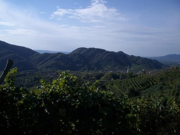Views, views, and more views. This really is a beautiful part of the world.
