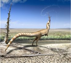 Sinosauropteryx illustration