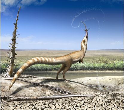 Sinosauropteryx illustration