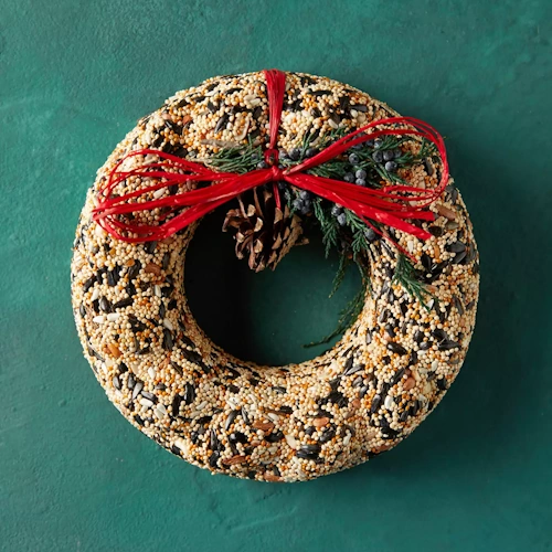 Anthropologie bird seed wreath