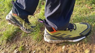 Adidas Terrex Free Hiker GTX boots