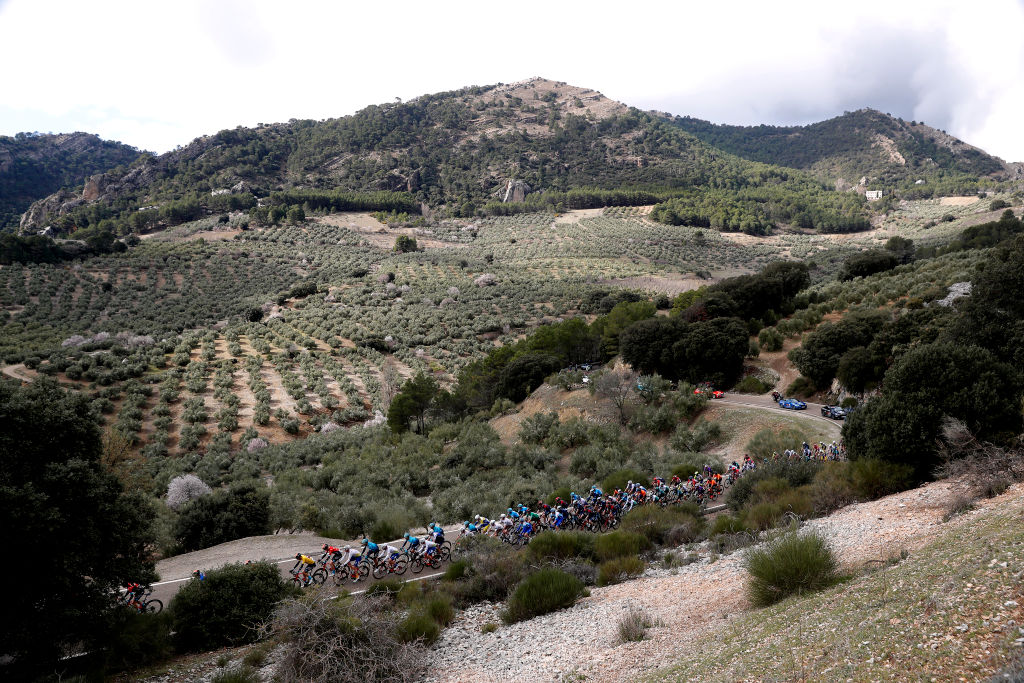 CHICLANA DE SEGURA SPAIN FEBRUARY 20 A general view of the peloton passing through a landscape during the 68th Vuelta A Andalucia Ruta Del Sol 2022 Stage 5 a 1644km stage from Huesa to Chiclana De Segura 870m 68RdS on February 20 2022 in Chiclana De Segura Spain Photo by Bas CzerwinskiGetty Images