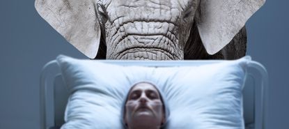 An elephant and a hospital patient.