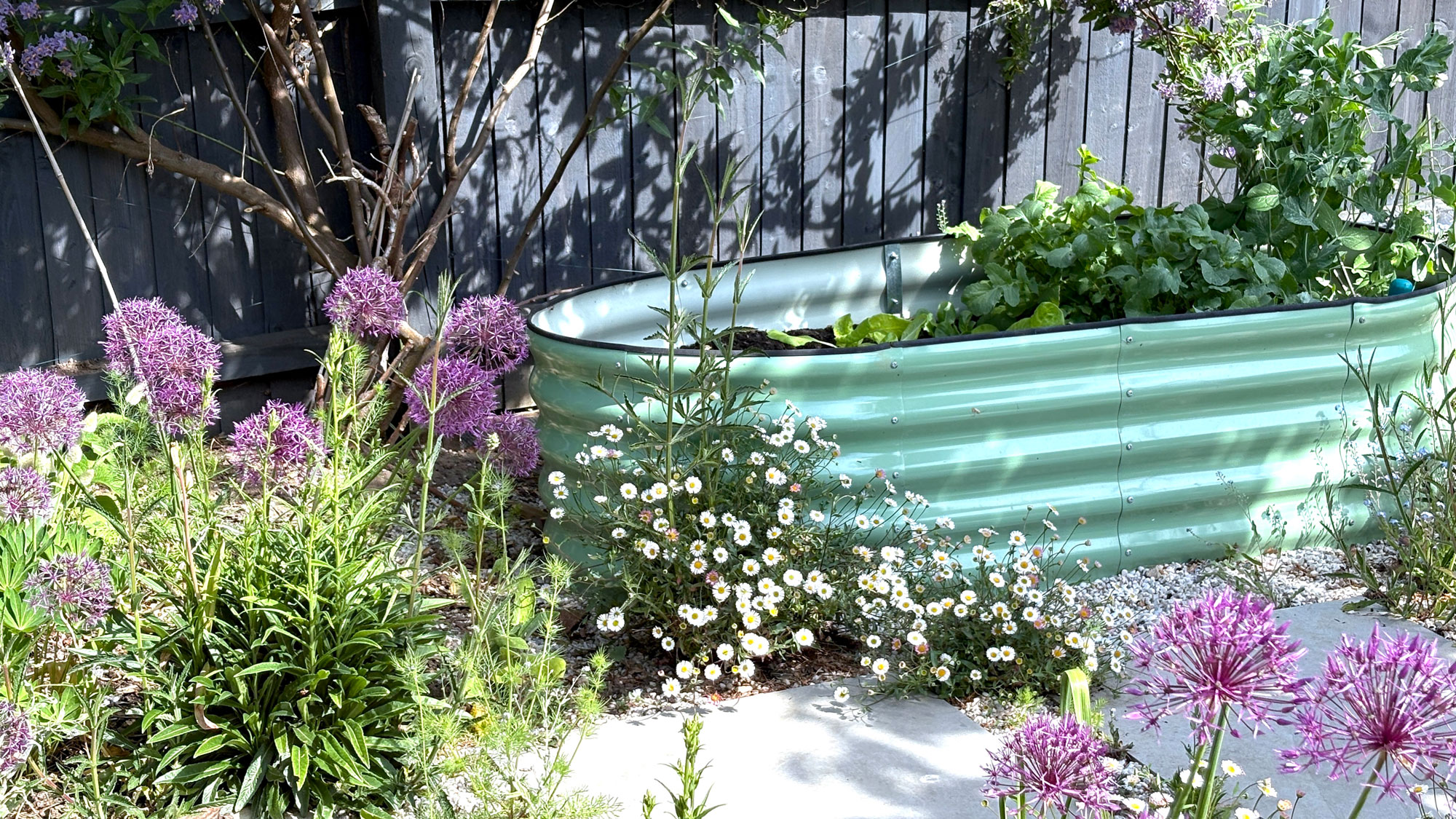 pale green corrugated metal raised bed filled with plants and surrounded with flowers