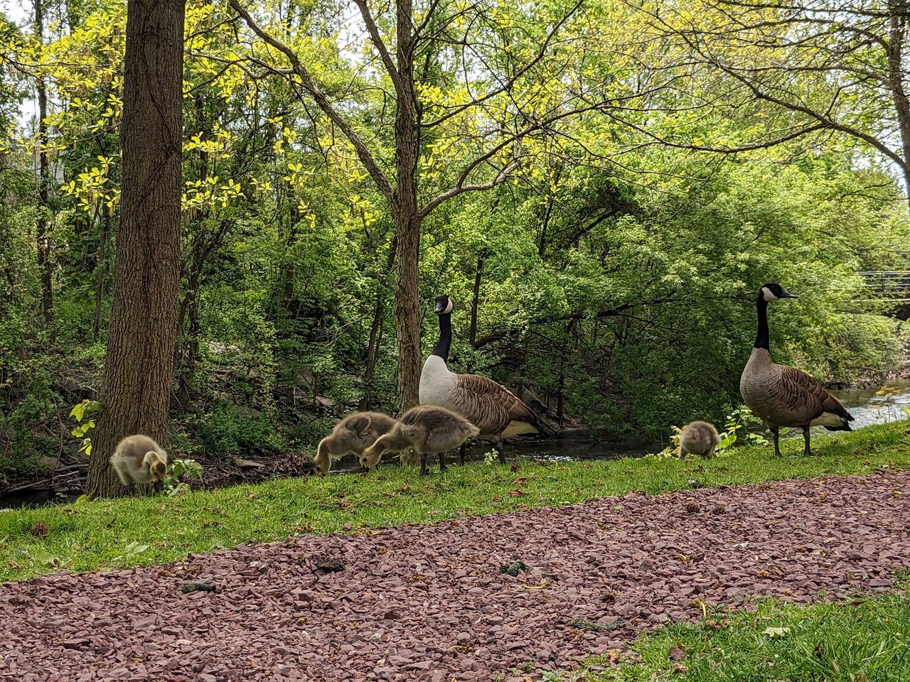 Google Pixel 7a image samples from camera