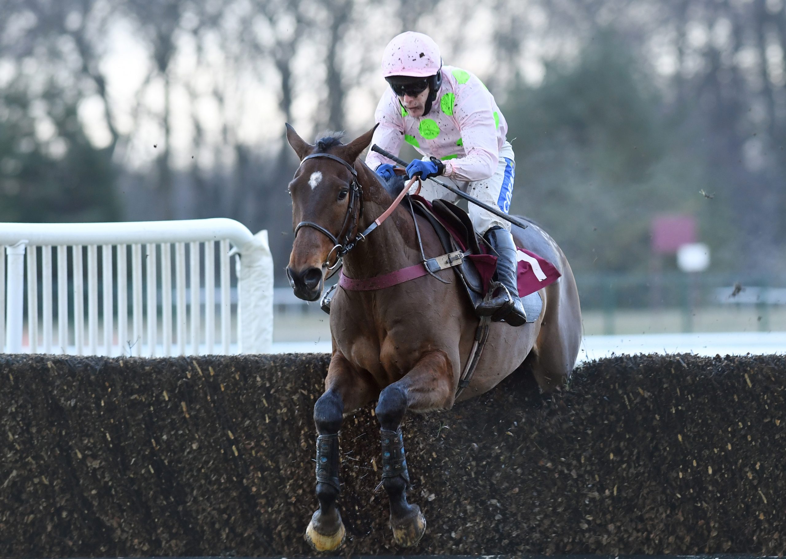 Haydock Peter Marsh Handicap Chase Royale Pagaille and Tom Scudamore 1st are clear over two out 23-1-21 pic Bill Selwyn