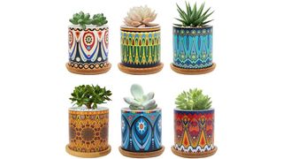 best indoor plant pots