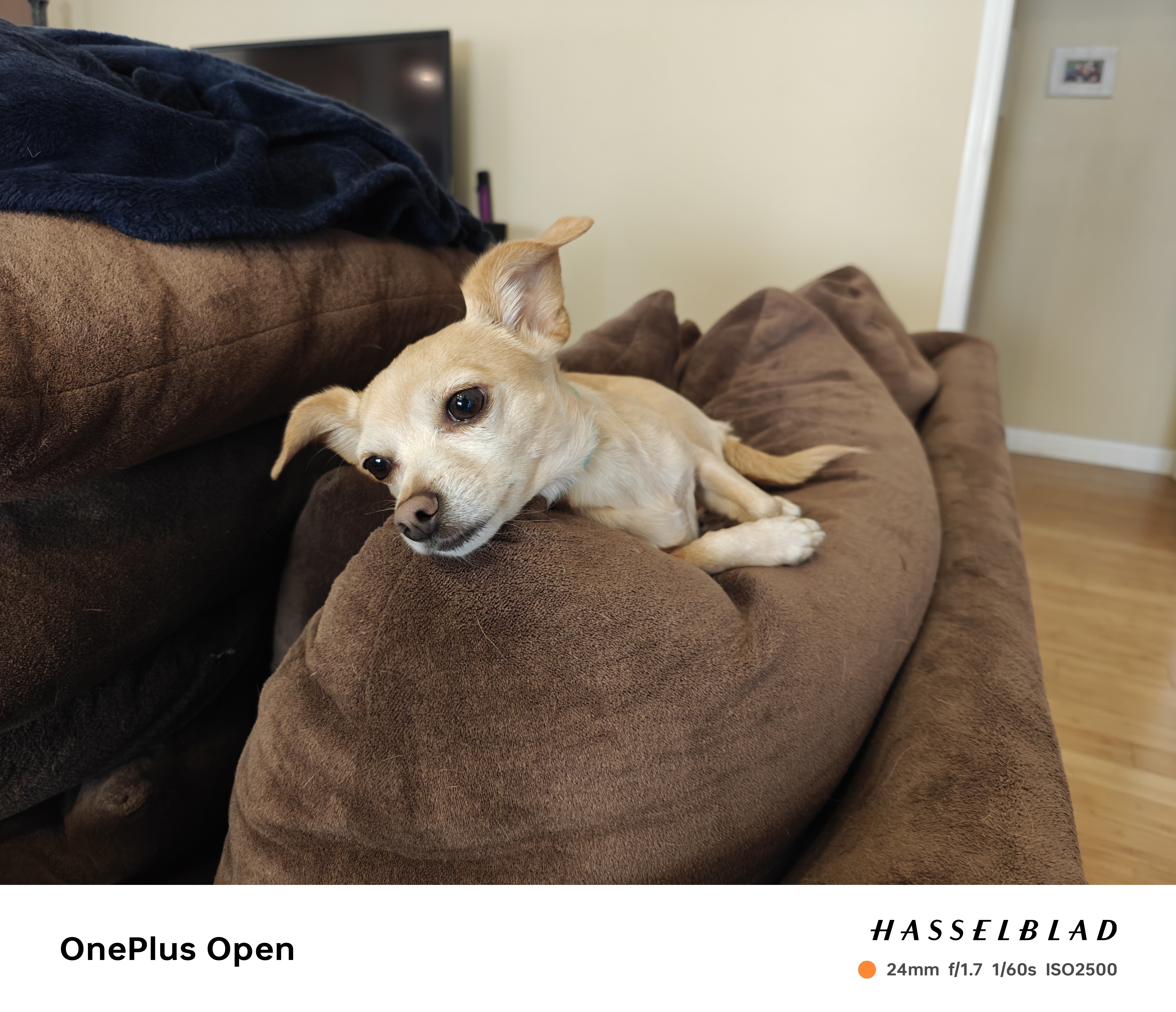 A photo captured on the OnePlus Open