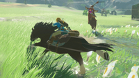   Zelda: Breath of the Wild