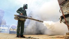 Fumigating a neighbourhood in the Huthi rebel-held capital Sanaa