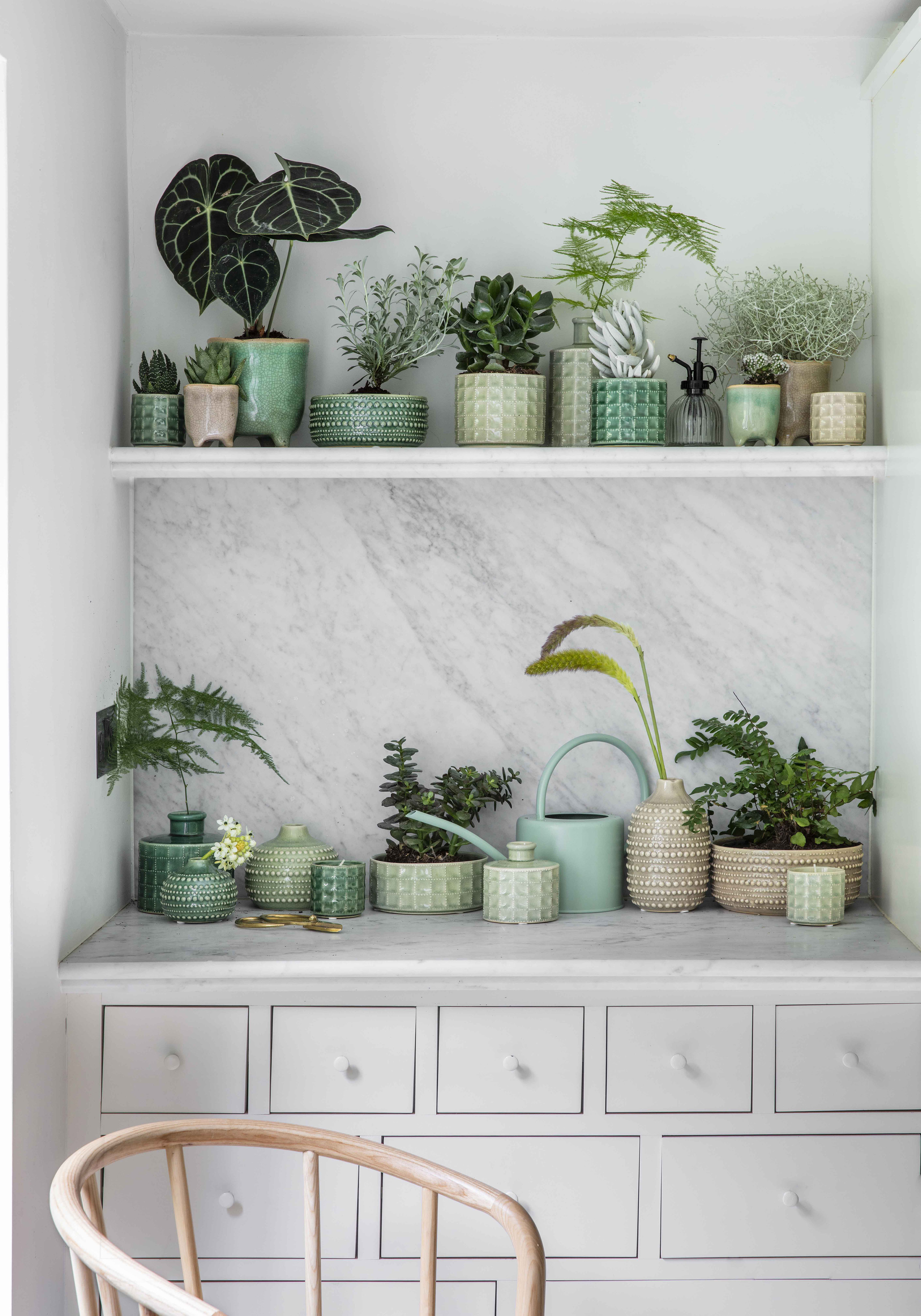 indoor garden ideas: potted plants in pastel containers from Garden Trading