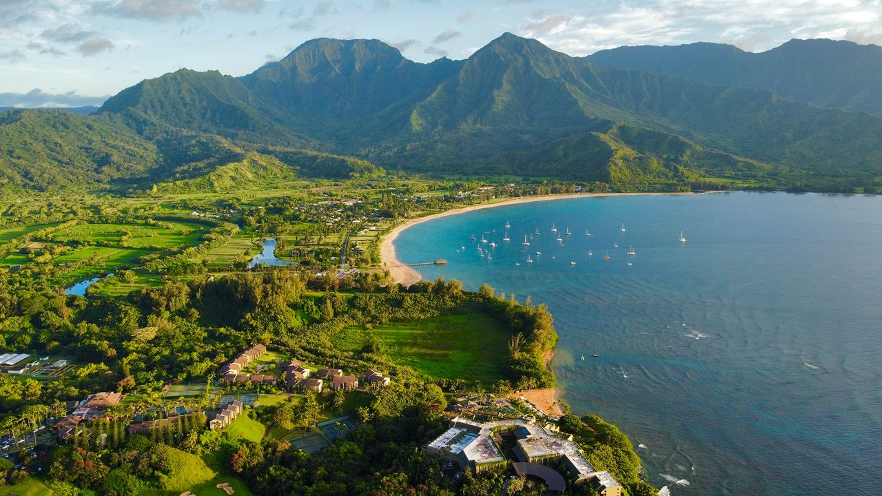 An aerial view of a lush green coastline overlooking pristine ocean water.