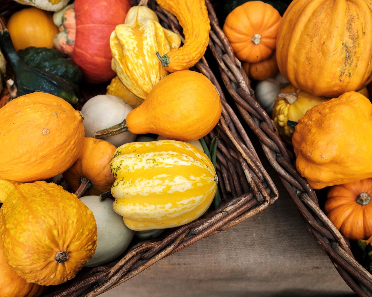 How and when to harvest winter squash top tips for picking Gardeningetc
