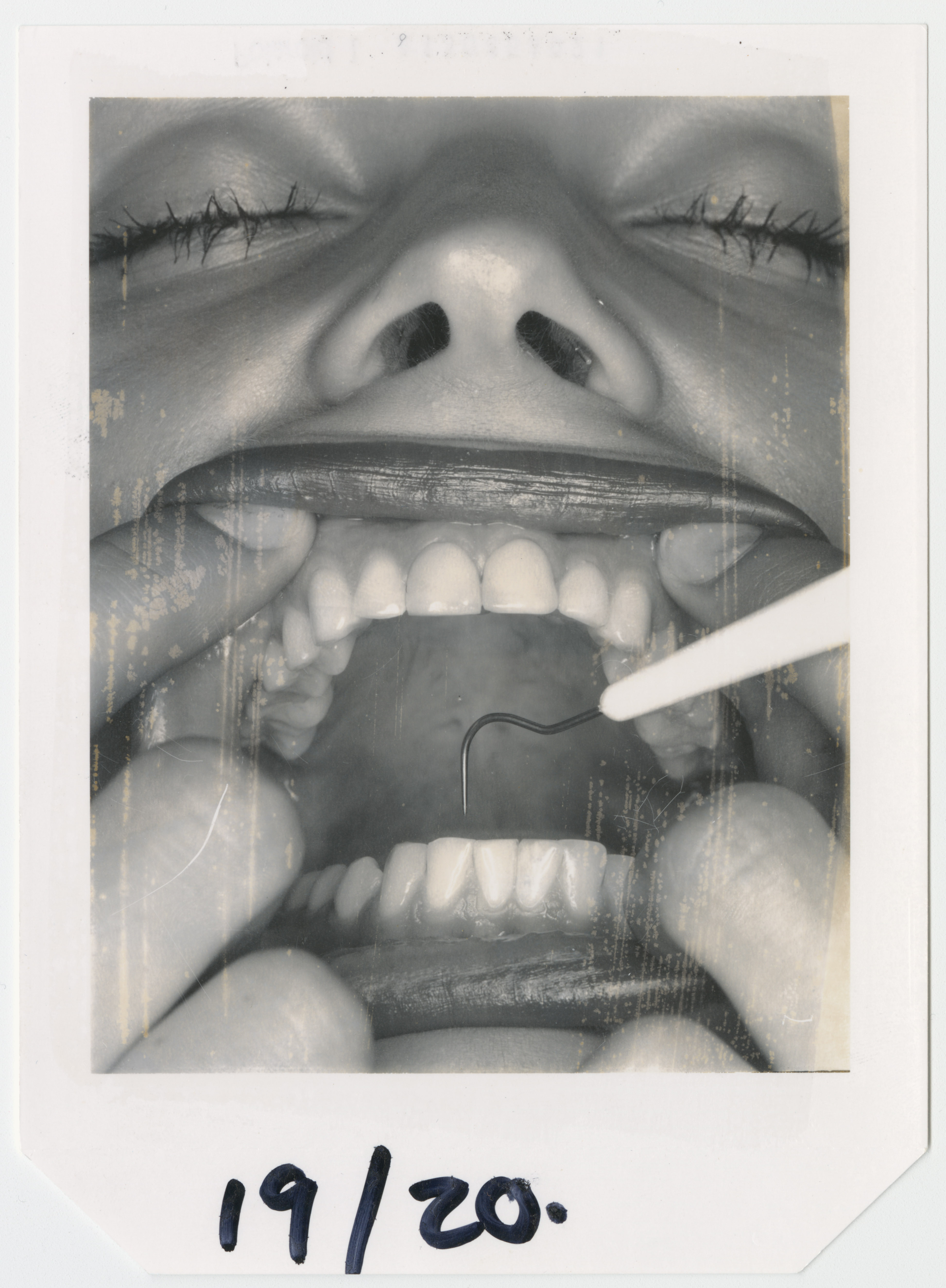 Donna Trope Polaroid