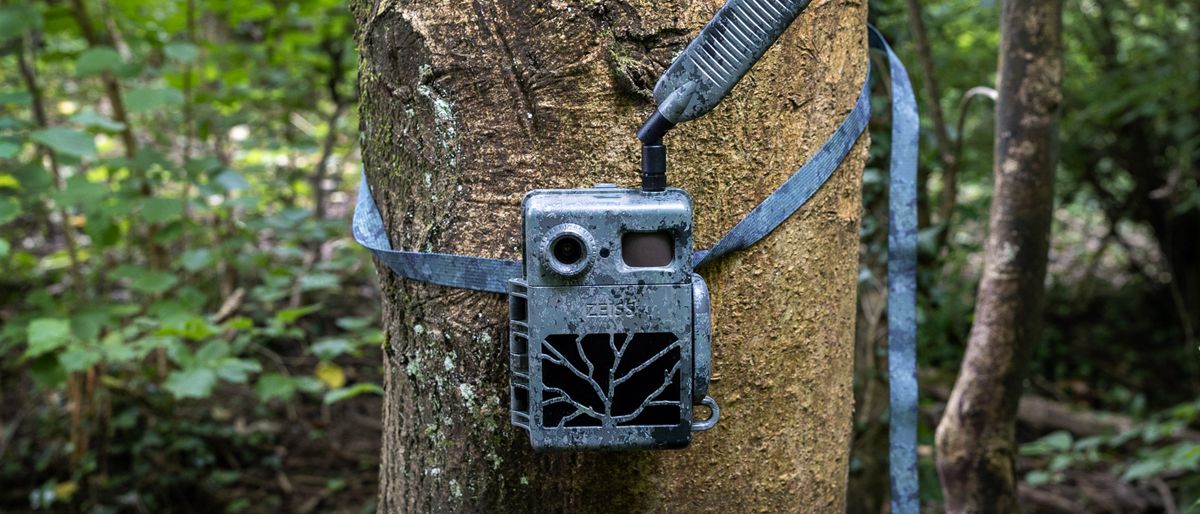 The Zeiss Secacam 7 trail camera clipped to a tree