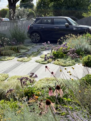 a natural front yard with a driveway