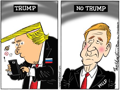 Political Cartoon U.S. Trump William Weld