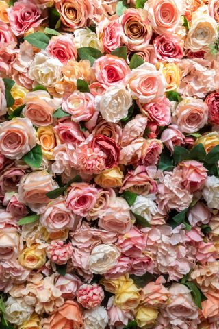 pink roses for flower wall ideas