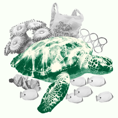 Sea turtle, Tortoise, Turtle, Green sea turtle, Kemp's ridley sea turtle, Reptile, Olive ridley sea turtle, Illustration, Drawing, Sketch, 