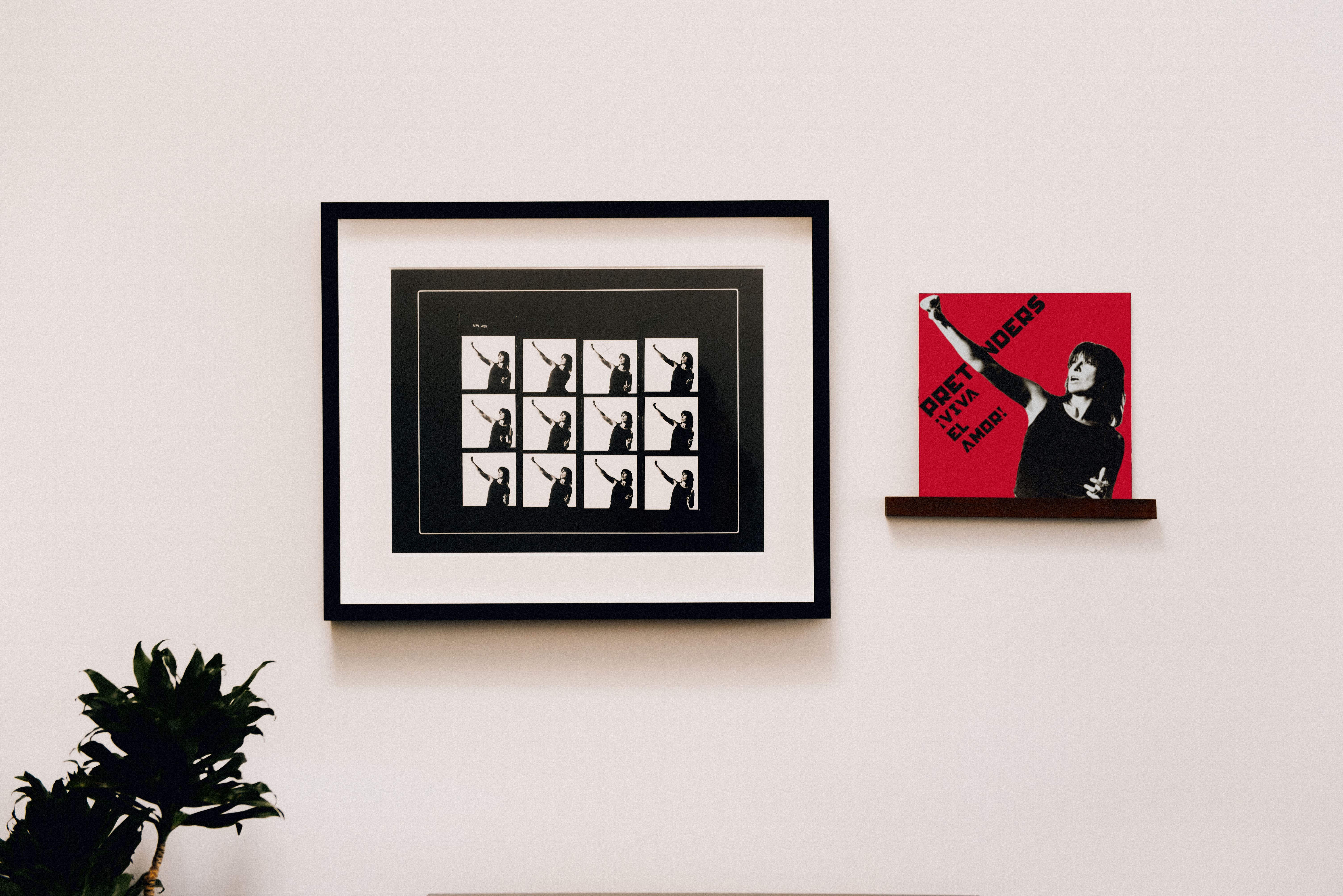 linda mccartney music photography on the walls