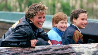 Prince Harry Prince William remember Princess Diana