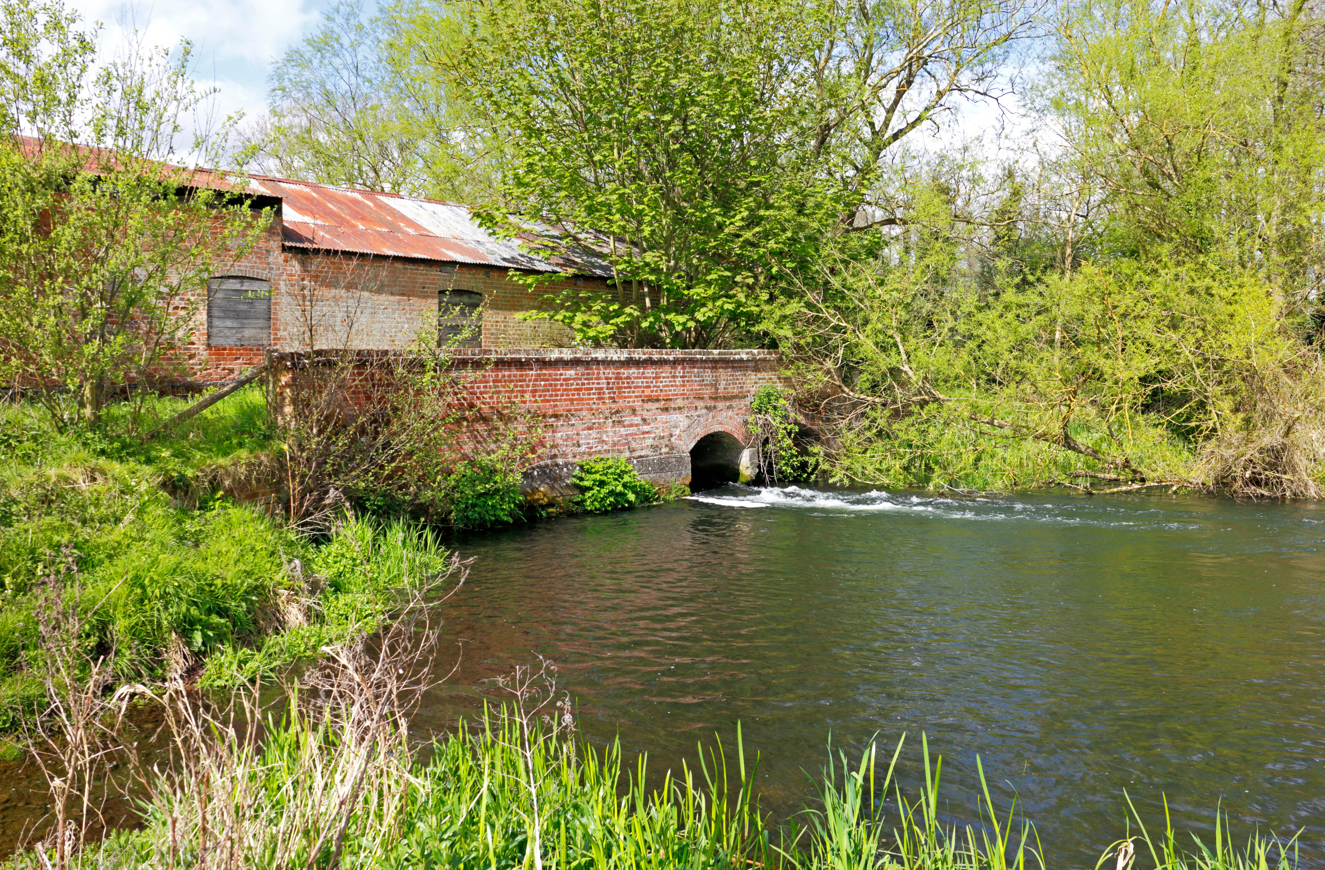 A view of the River Bure and disused watermill at Blickling