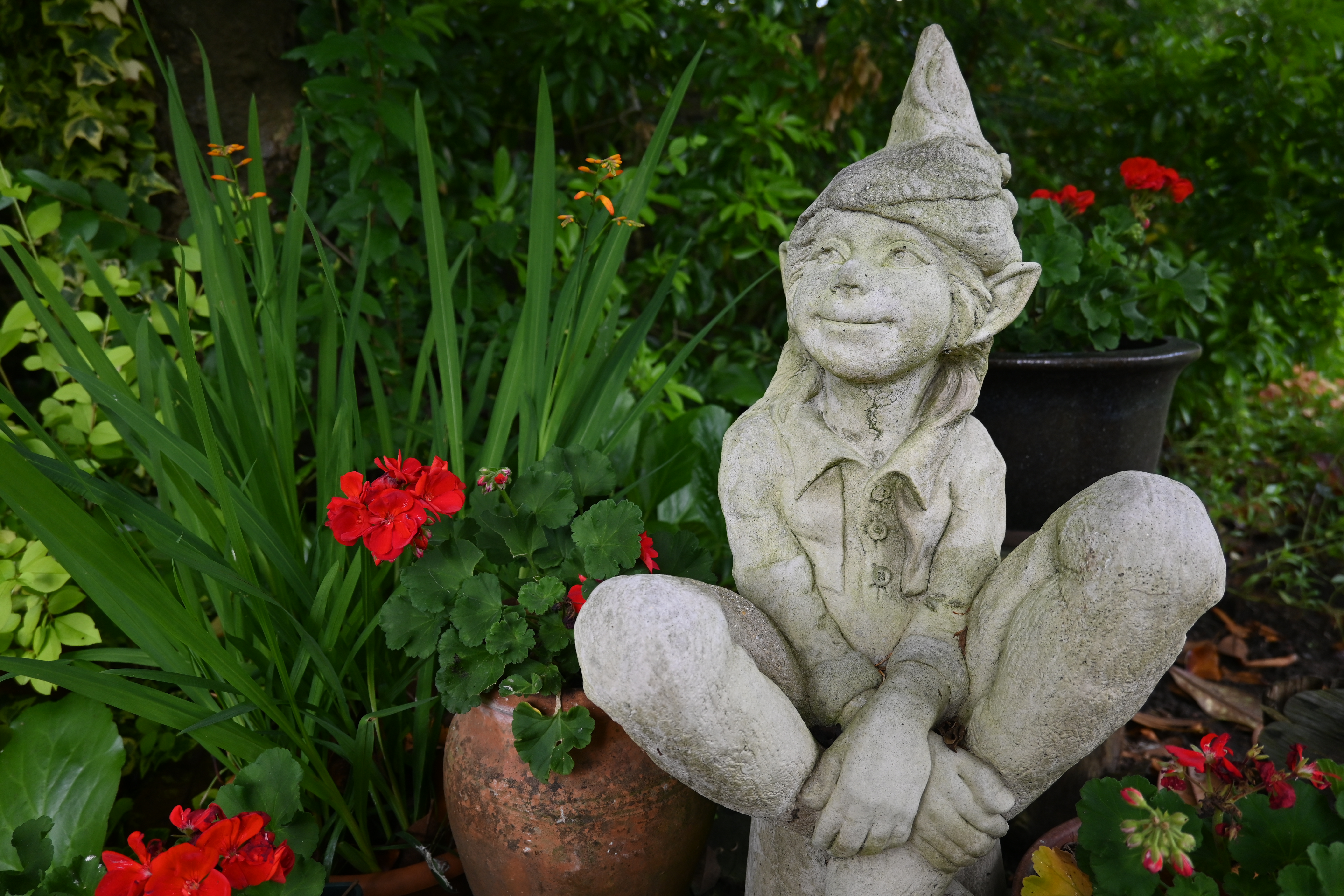 Nikon Z fc review image samples