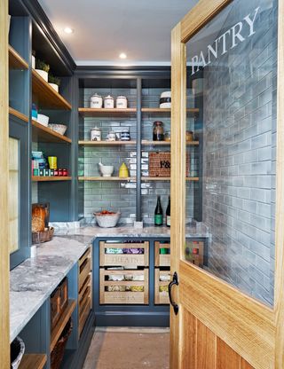 Pantry with shelves and countertop