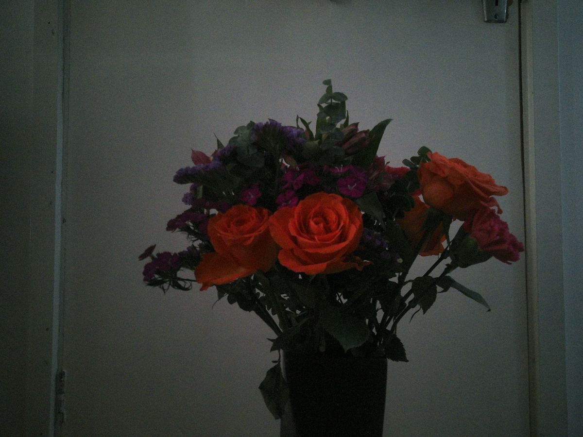 Sample photography from Camp Snap CS-Pro showing a bunch of flowers, the image is underexposed