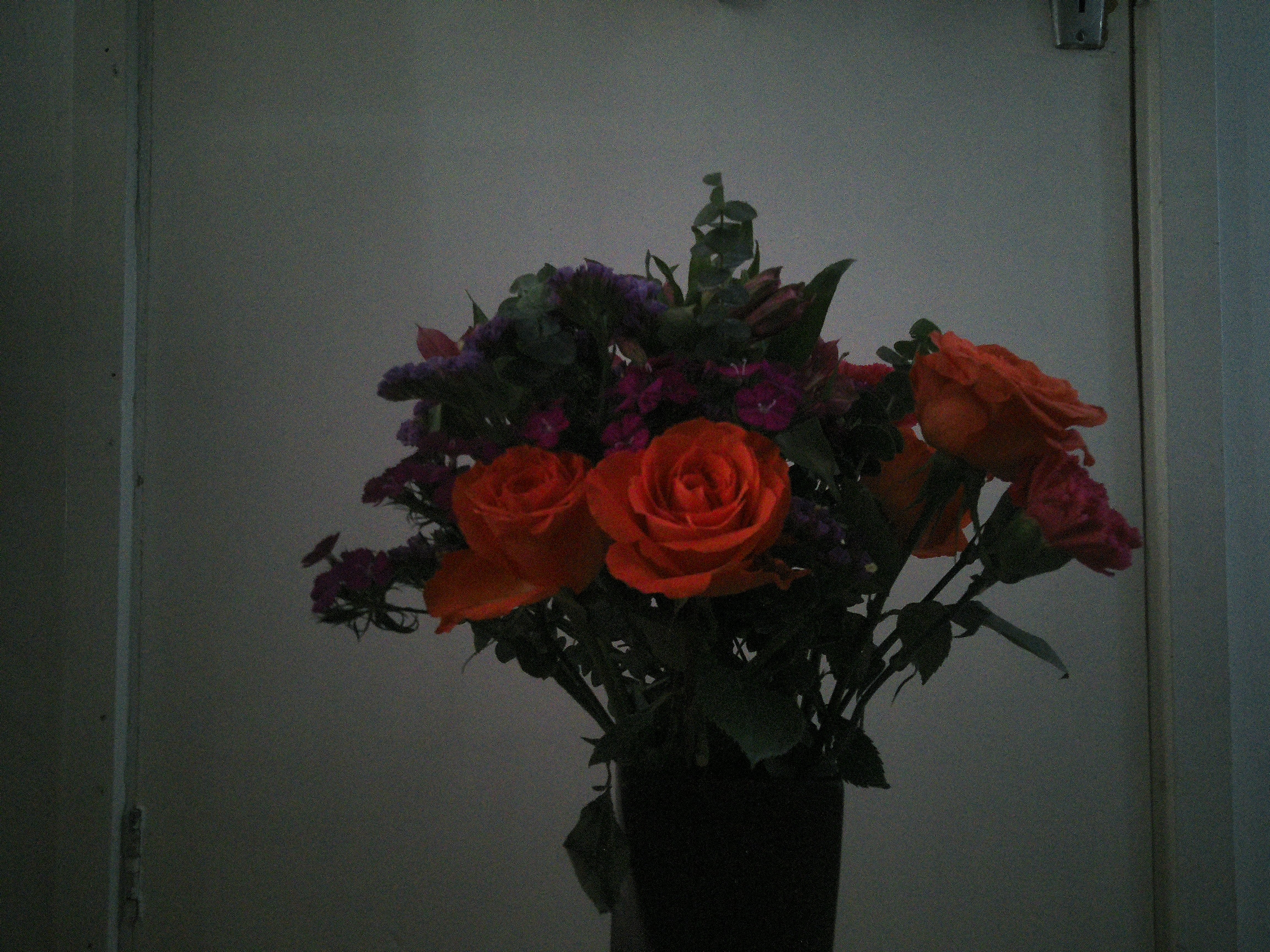 Sample photography from Camp Snap CS-Pro showing a bunch of flowers, the image is underexposed