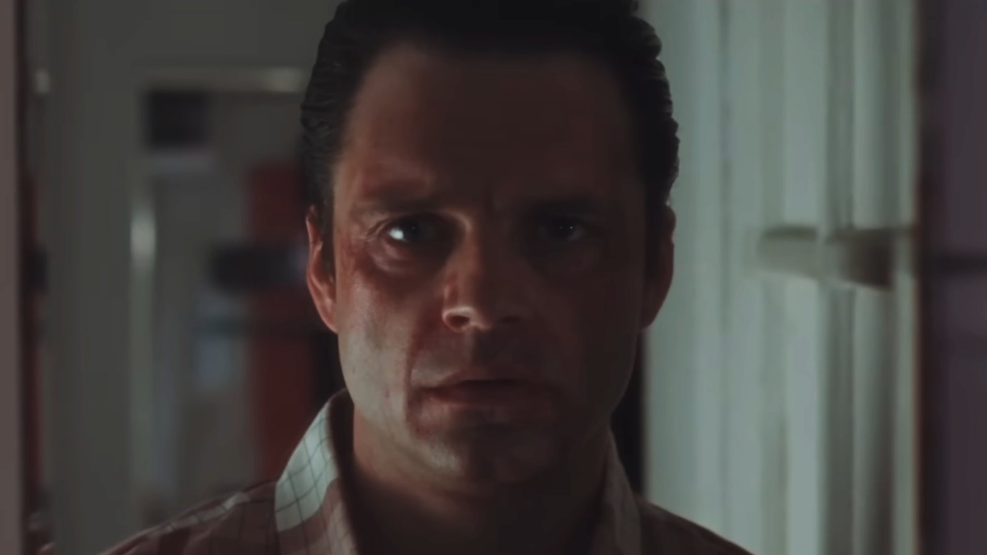 Sebastian Stan In A Different Man