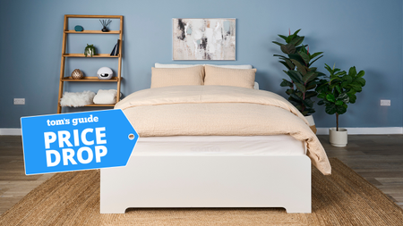 A white mattress on the bed with cream pillows and duvet in a bedroom with a blue painted wall with a shelf and two potted plants next to it. 