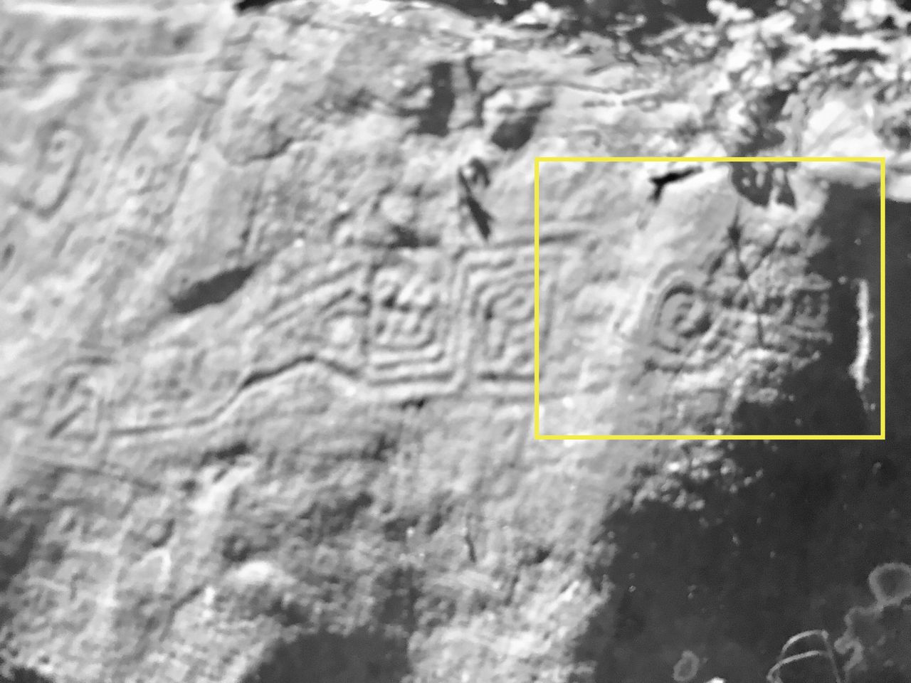 The part of the monolith where the feline feathered figure is located is shown here.