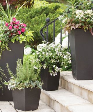 selection of black planters on steps