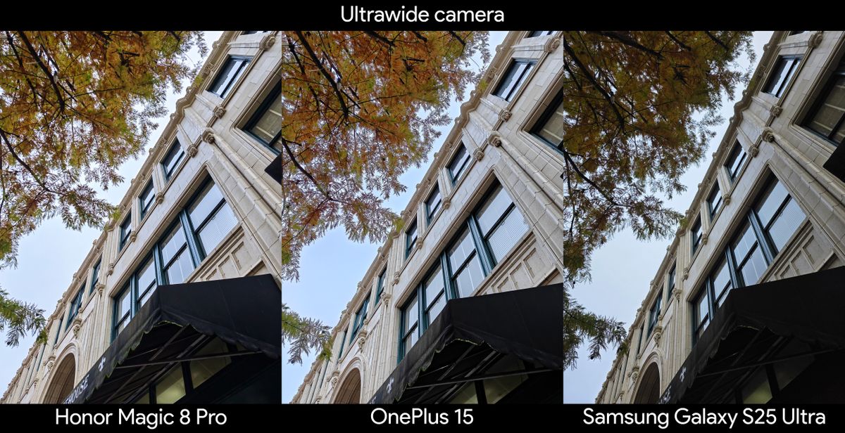 A camera sample using the ultrawide camera on an Honor Magic 8 Pro, OnePlus 15, Samsung Galaxy S25 Ultra