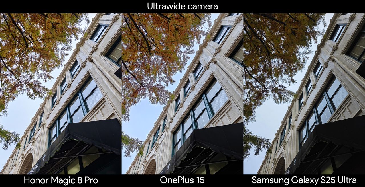 A camera sample using the ultrawide camera on an Honor Magic 8 Pro, OnePlus 15, Samsung Galaxy S25 Ultra
