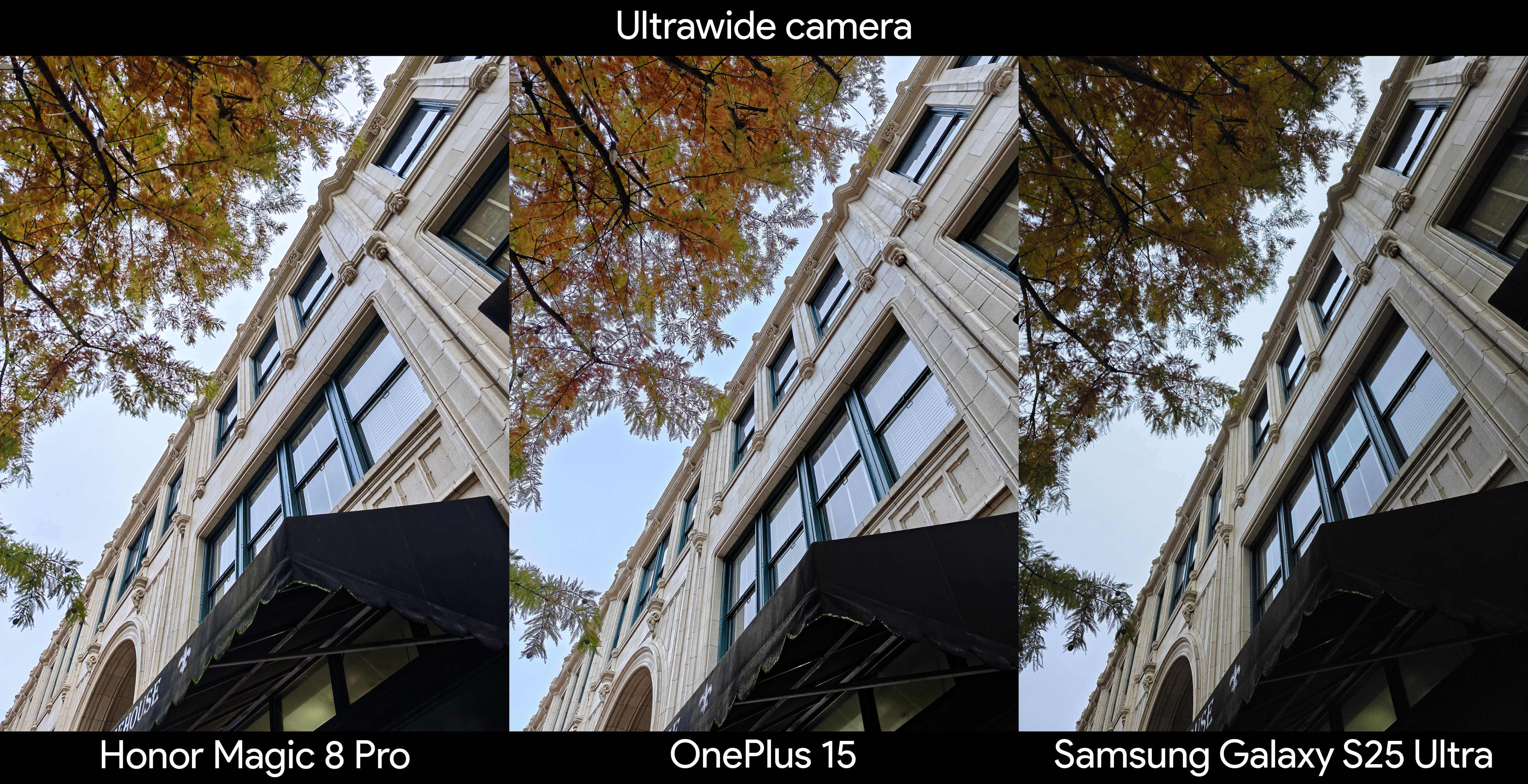 Ένα δείγμα κάμερας που χρησιμοποιεί την υπερευρεία κάμερα σε Honor Magic 8 Pro, OnePlus 15, Samsung Galaxy S25 Ultra