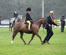 RIHS-25.07.2146409.jpg