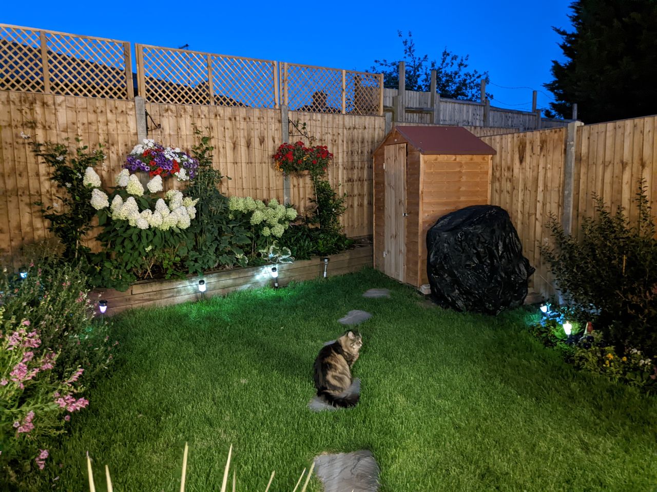 A photo taken on the Google Pixel 6a
