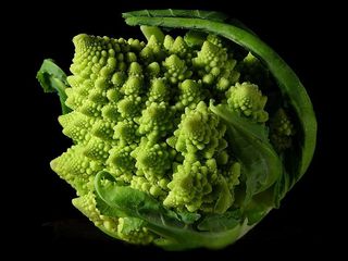 Romanesco broccoli, a broccoli-cauliflower hybrid, has a fractal shape.