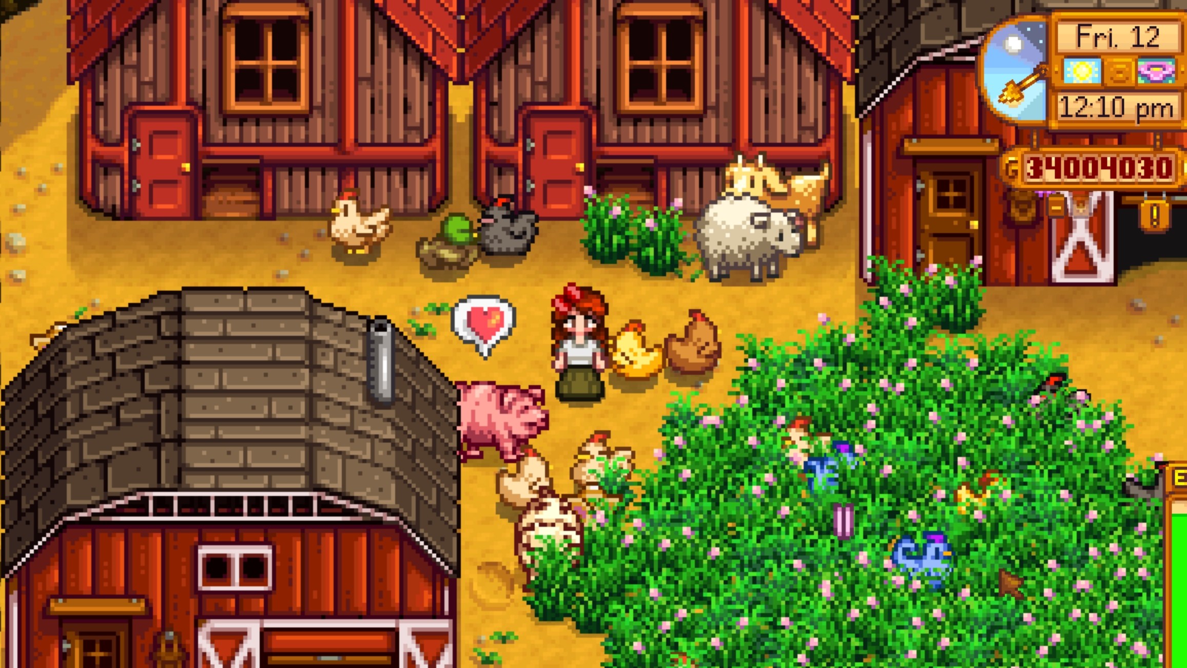 The farmlandal Valley farm has animals. In the middle, the player rose around by the chicken, the sheep, goats, and ducks when they eat grass.