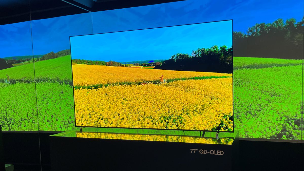 Samsung S95C OLED TV with yellow flowers on screen