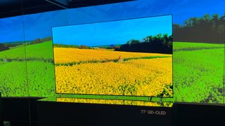 Samsung S95C OLED TV met gele bloemen op het scherm