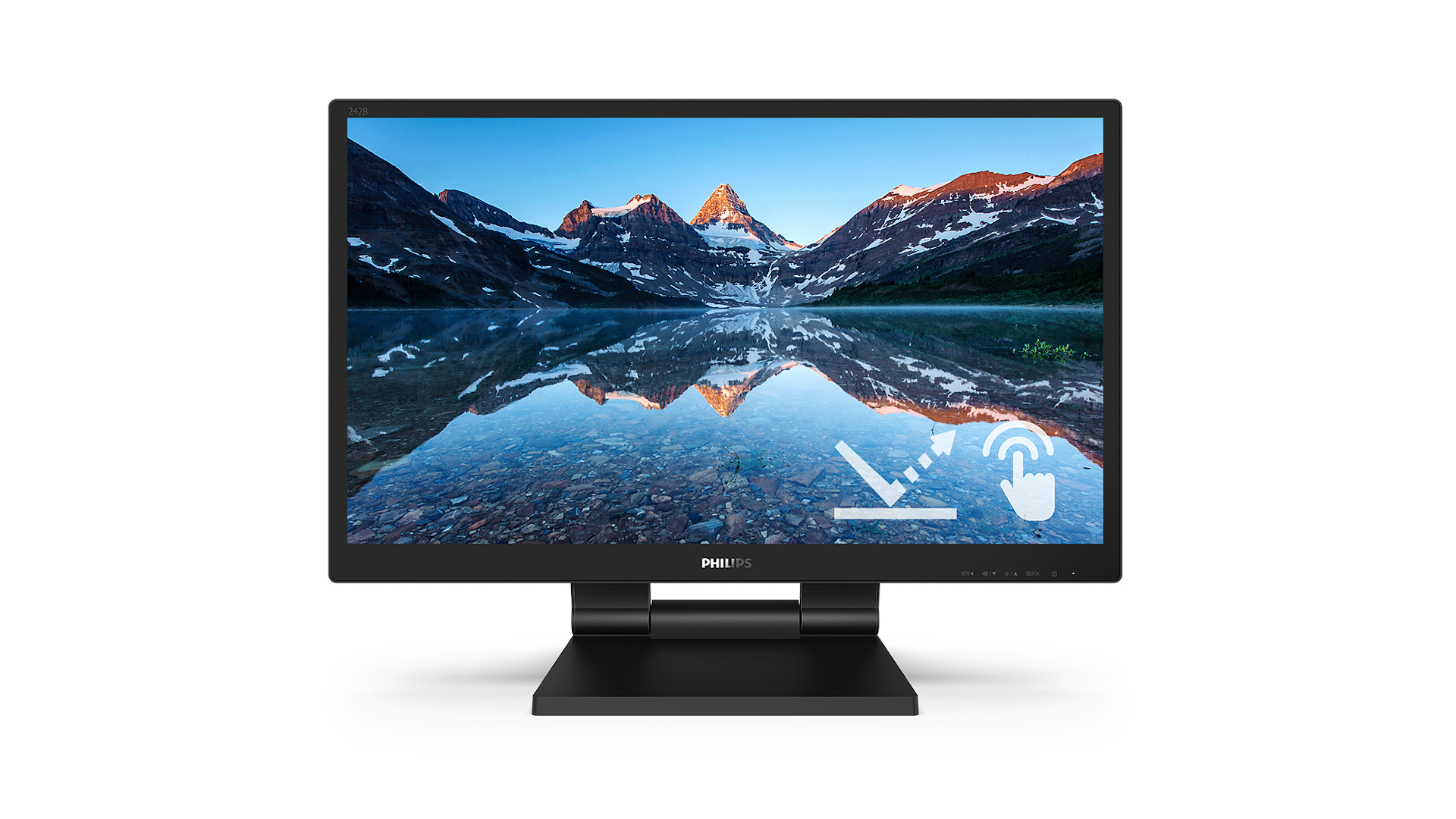 philips v8 monitor