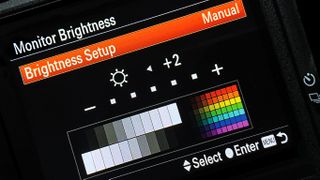 Monitor brightness settings on a digital camera