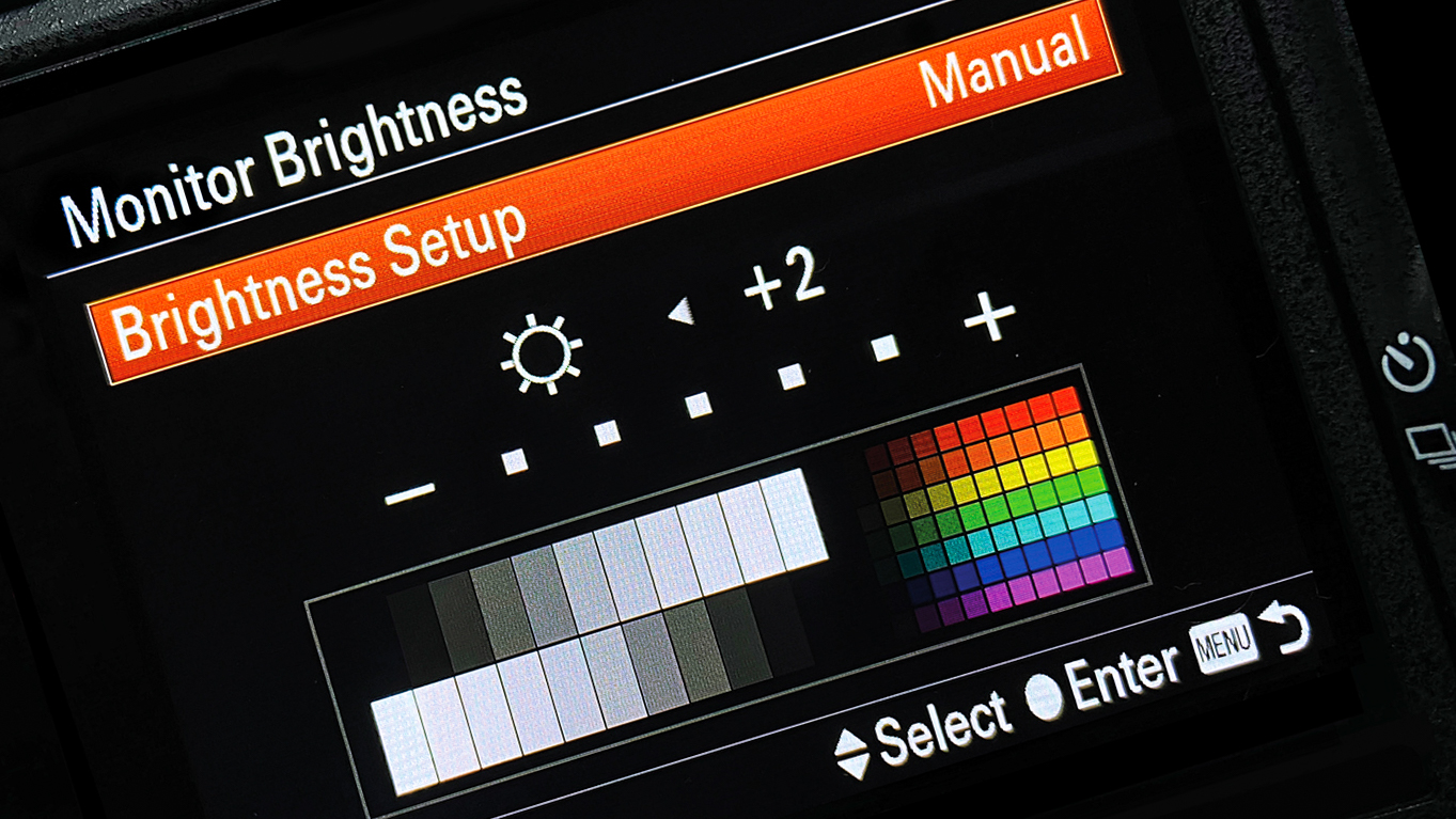 Monitor brightness settings on a digital camera